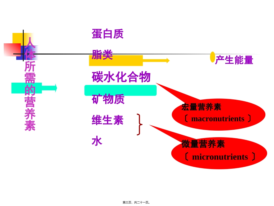 中国居民膳食营养素参考摄入量(DRIs)(2013-修订版)_第3页