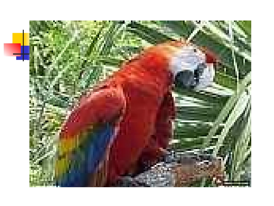 小学二年级语文29父亲和鸟_第3页