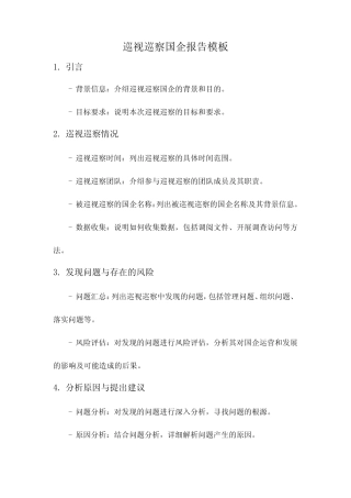 巡视巡察国企报告模板 