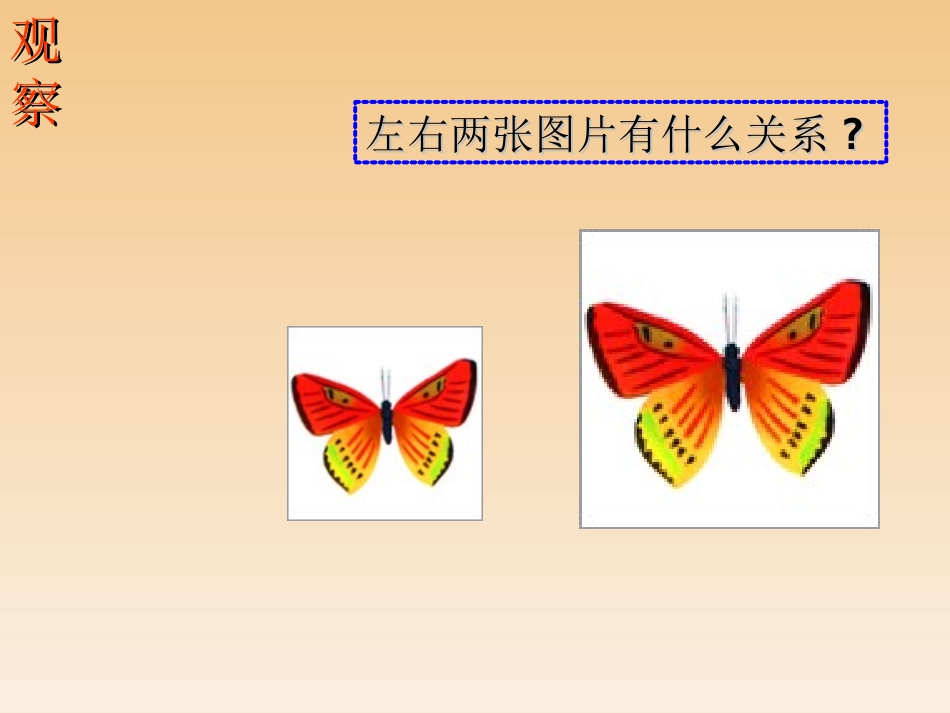 图形的相似课件1_第2页