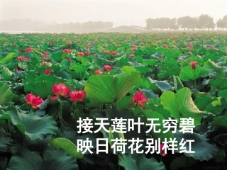 湖心亭看雪课件(与教案配套)