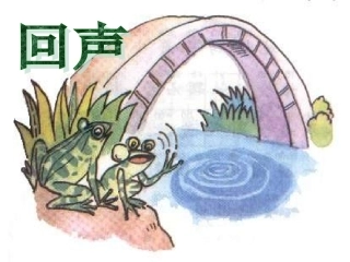 《回声》课件