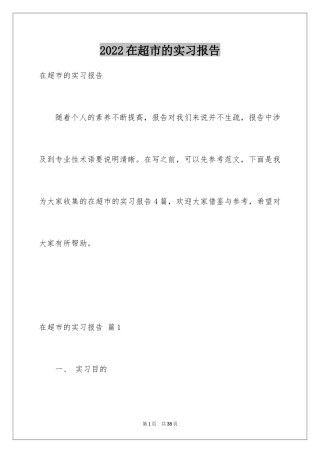 2024在超市的实习报告_27