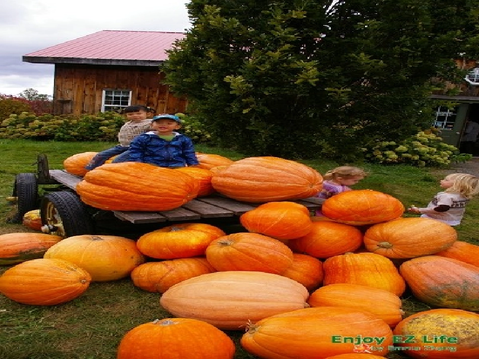 秋天作文演示文稿_第2页