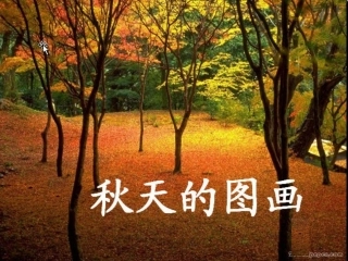 秋天作文演示文稿