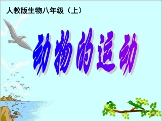 八年级生物动物的运动2