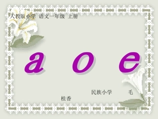 字与拼音_a_o_e课件