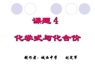 《化学式与化合价》