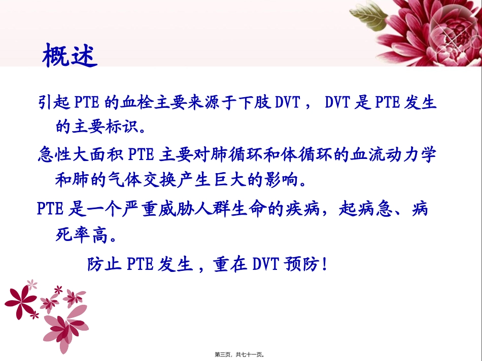 下肢静脉血栓_第3页
