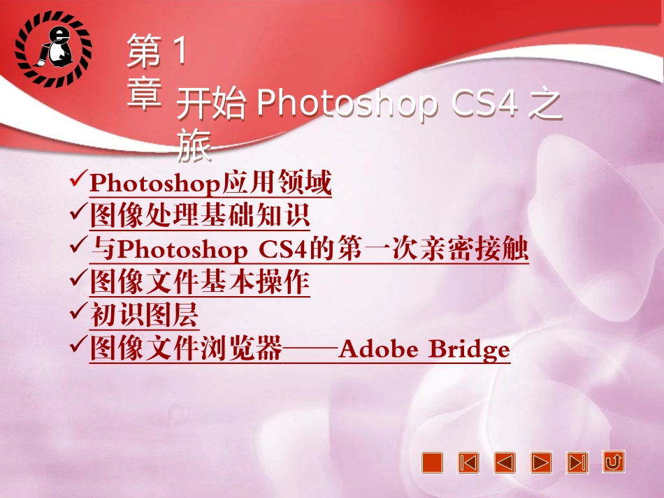 开始PhotoshopCS4之旅_第2页