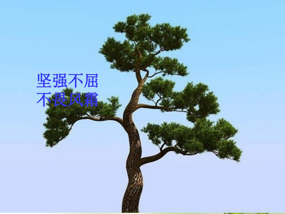 北师大版六年级上册第八单元-岁寒三友《墨竹图题诗》_第3页