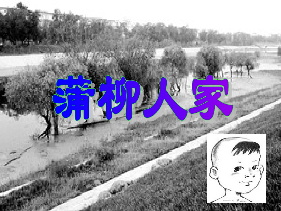 蒲柳人家课件_第1页