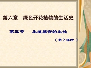 户玉兵花的结构课件修改后
