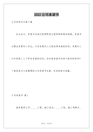 2024公司承诺书_14