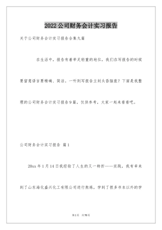 2024公司财务会计实习报告_4