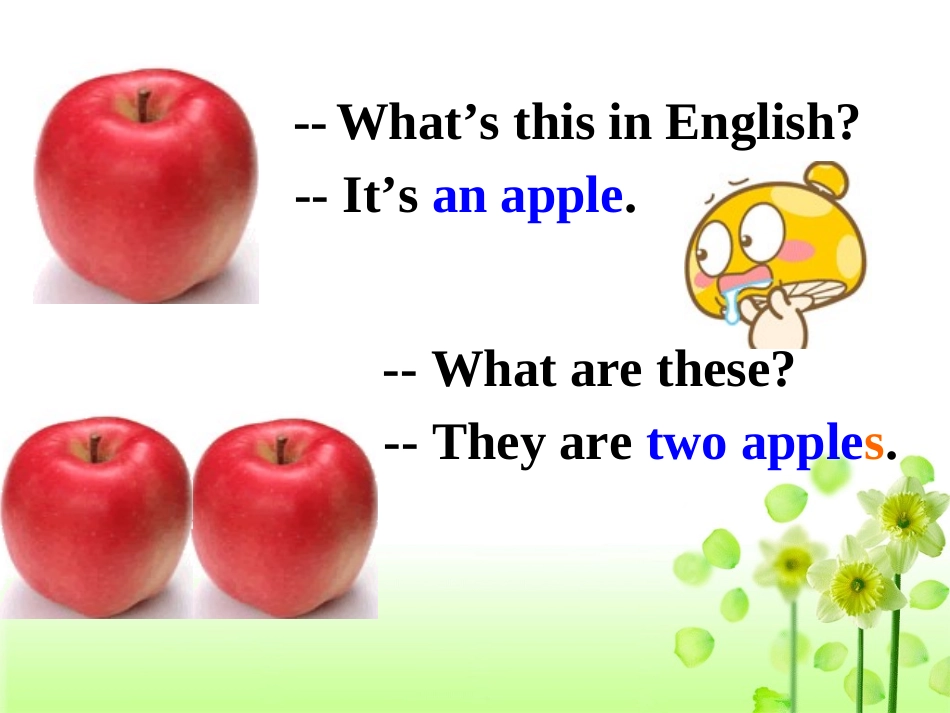 英语名词单数变复数_第2页