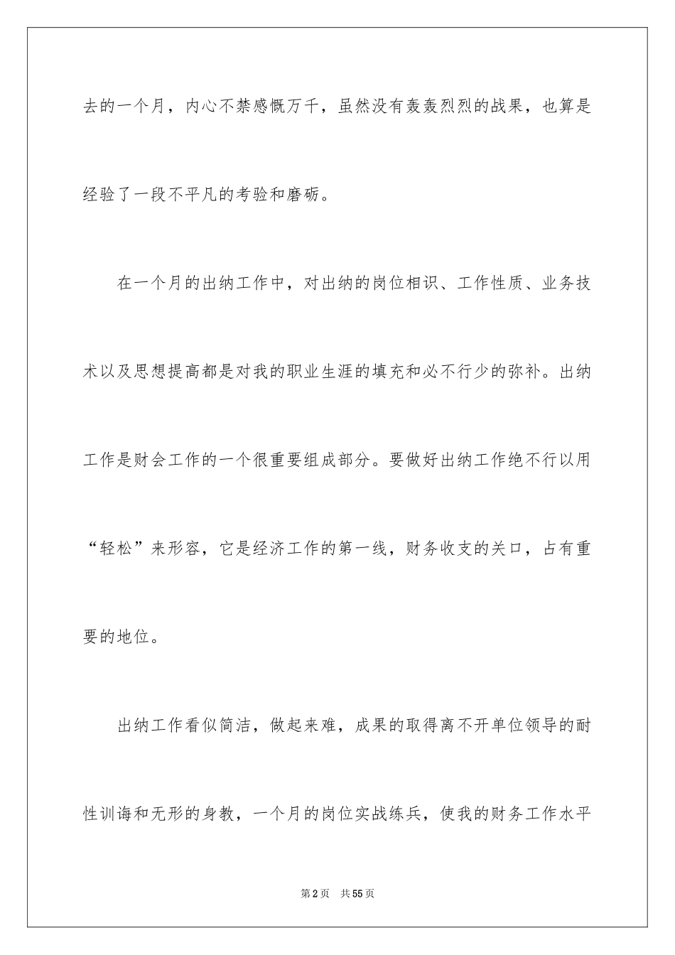 2024出纳工作计划_36_第2页