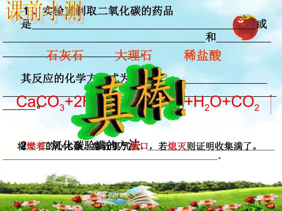 二氧化碳的性质和制法_第2页