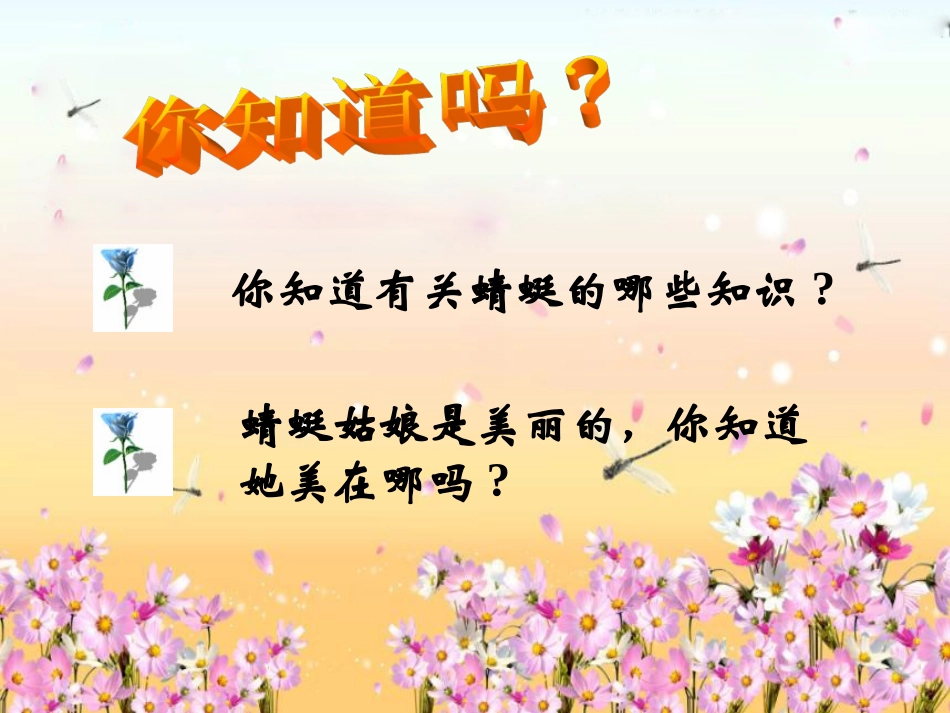 《蜻蜓飞飞》_第3页