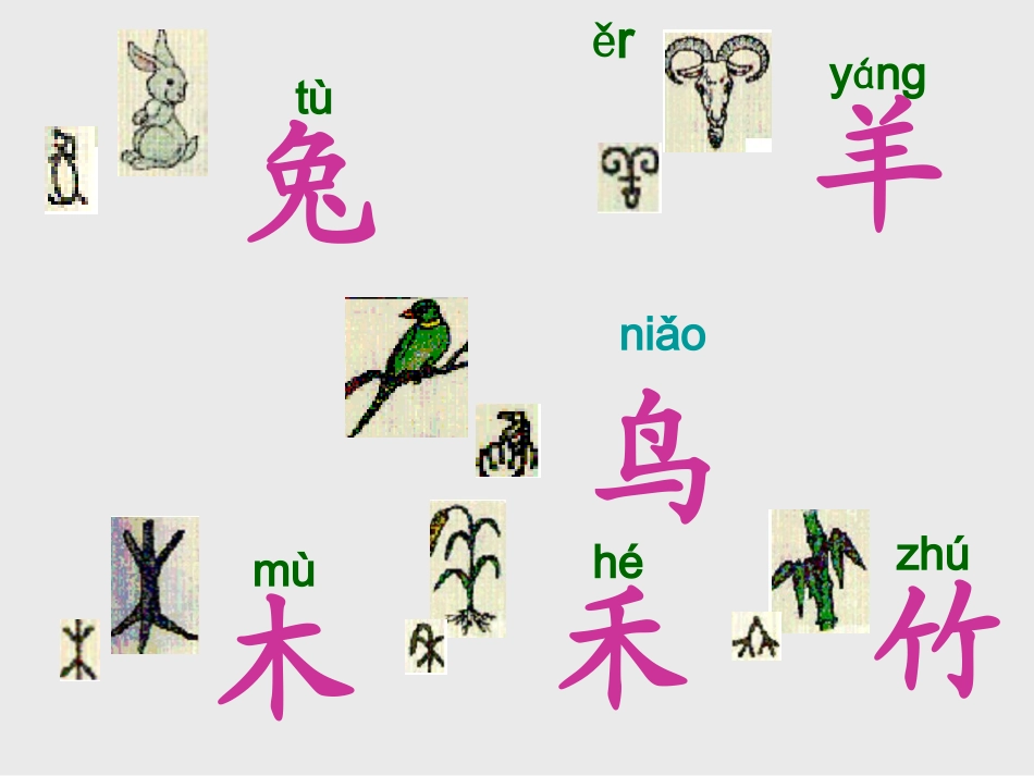 《口耳目》课件6_第3页