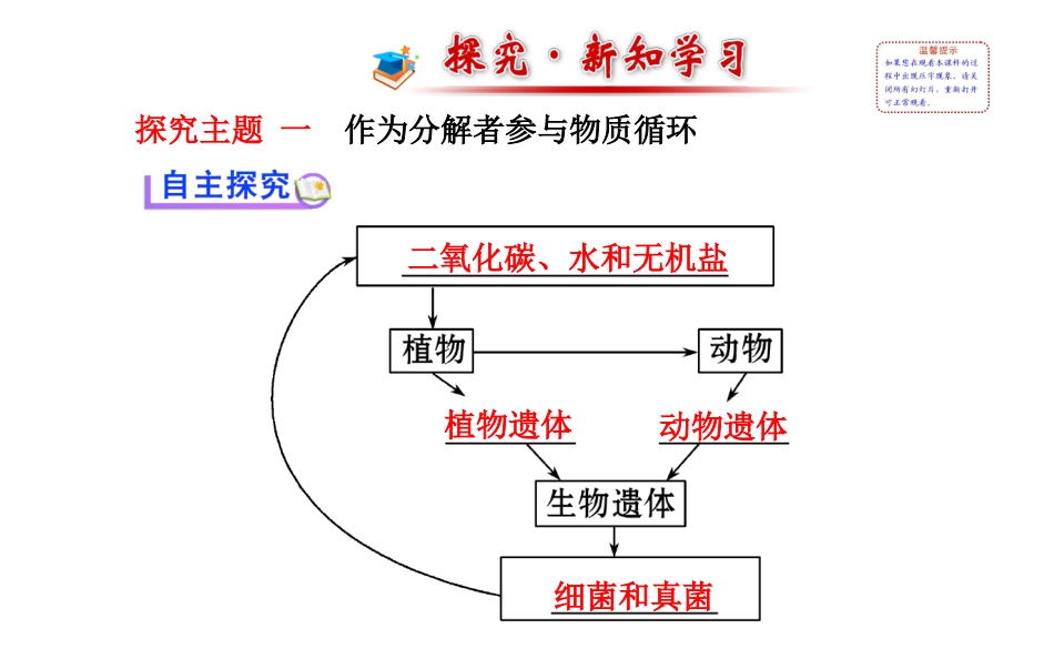 八年级上册课件：第五单元第四章第四节细菌和真菌在自然界中的作用（人教版）_第2页