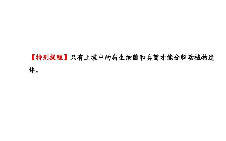 八年级上册课件：第五单元第四章第四节细菌和真菌在自然界中的作用（人教版）_第3页