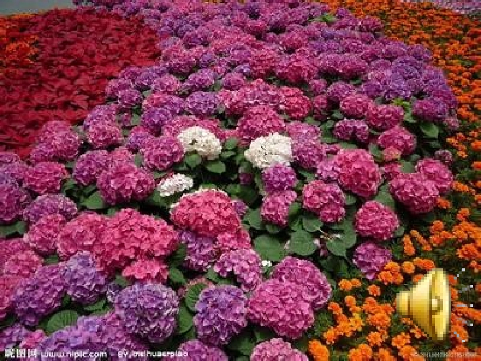 一年级语文下册识字三课件_第3页