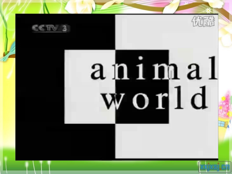 外研版初中英语_第2页