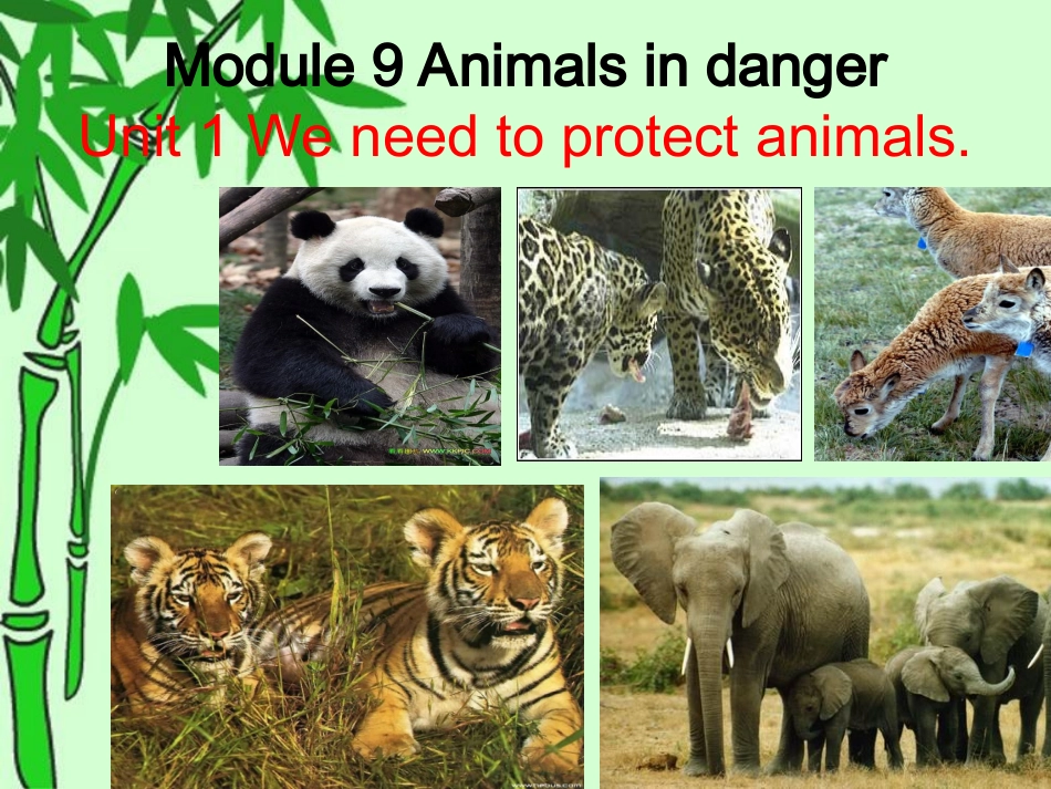 外研版初中英语_第3页