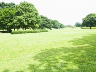 讲课课件天气与气候