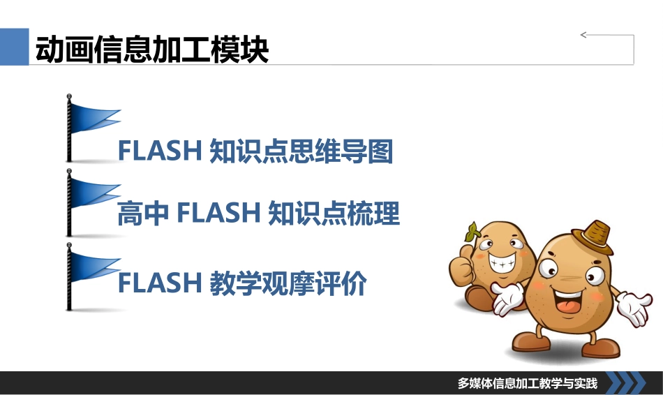 多媒体信息加工教学与实践_第3页