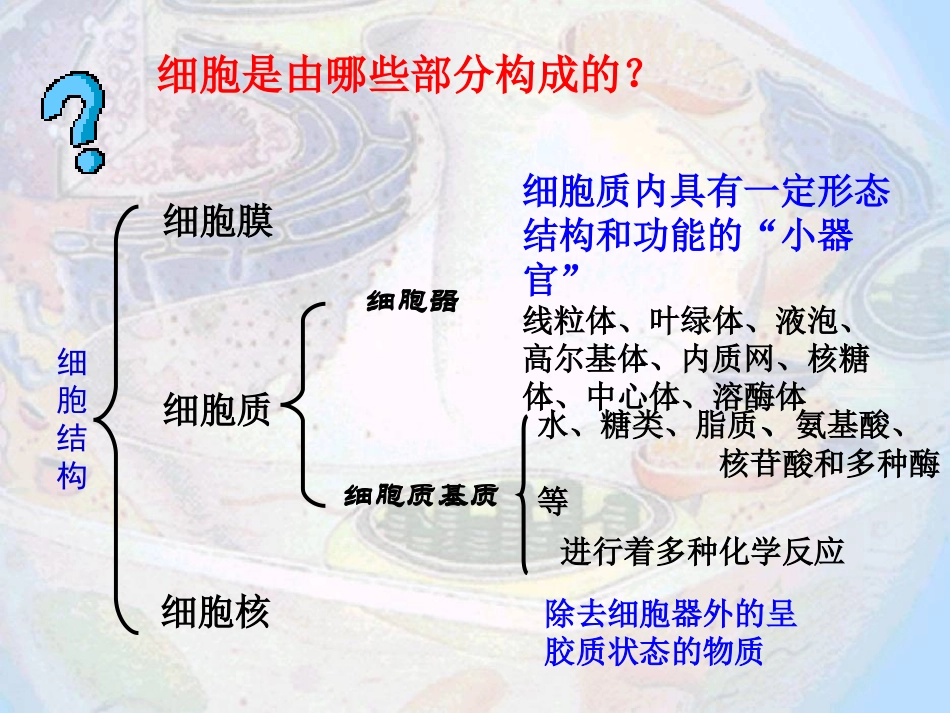 细胞器系统内的分工合作_第2页