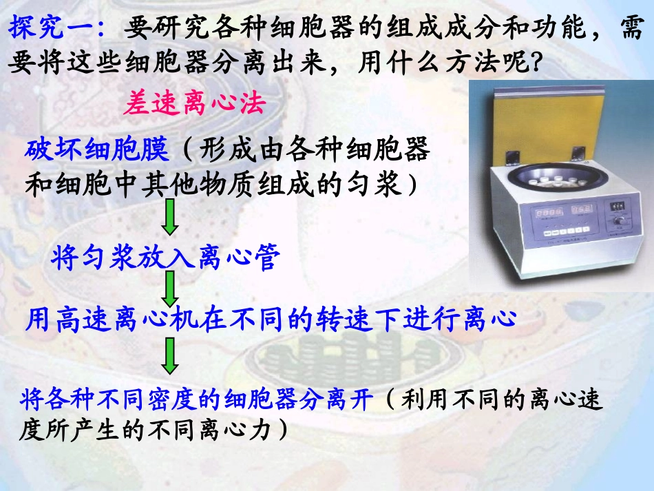 细胞器系统内的分工合作_第3页