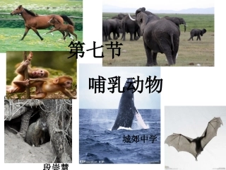 八上17哺乳动物