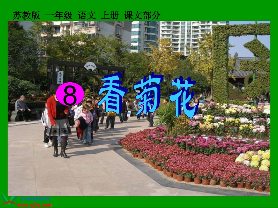 (苏教版)一年级语文上册课件_看菊花_2_第1页