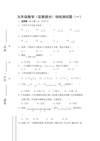 九年级数学培优