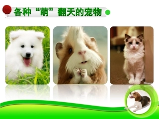 先天性行为和学习行为