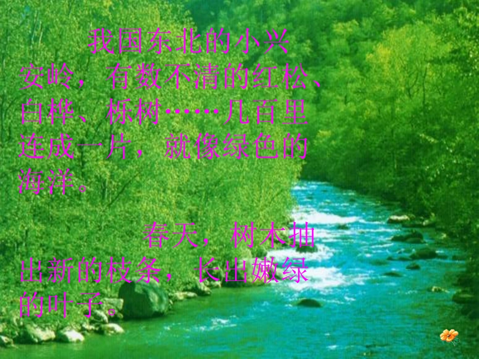 美丽的小兴安岭课件(2)_第2页