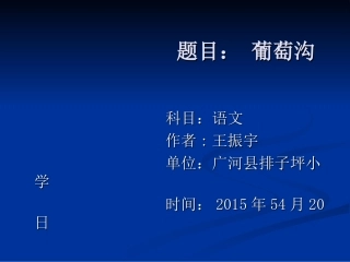 葡萄沟王振宇