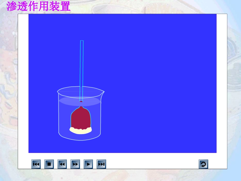 物质跨膜运输的实例_第3页