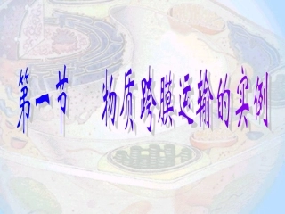 物质跨膜运输的实例