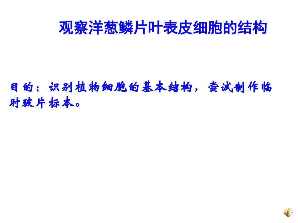 植物细胞结构和功能_第2页