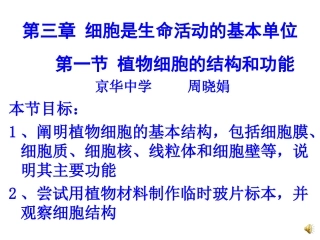 植物细胞结构和功能