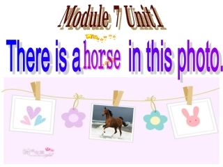 四年级上册Thereisahorseinthisphoto