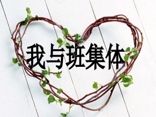 _我与班集体_主题班会