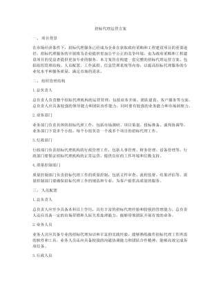 招标代理运营方案 