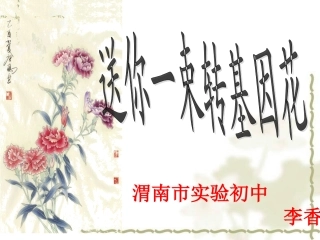 送你一束转基因花