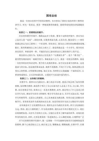 史沁丽国培总结
