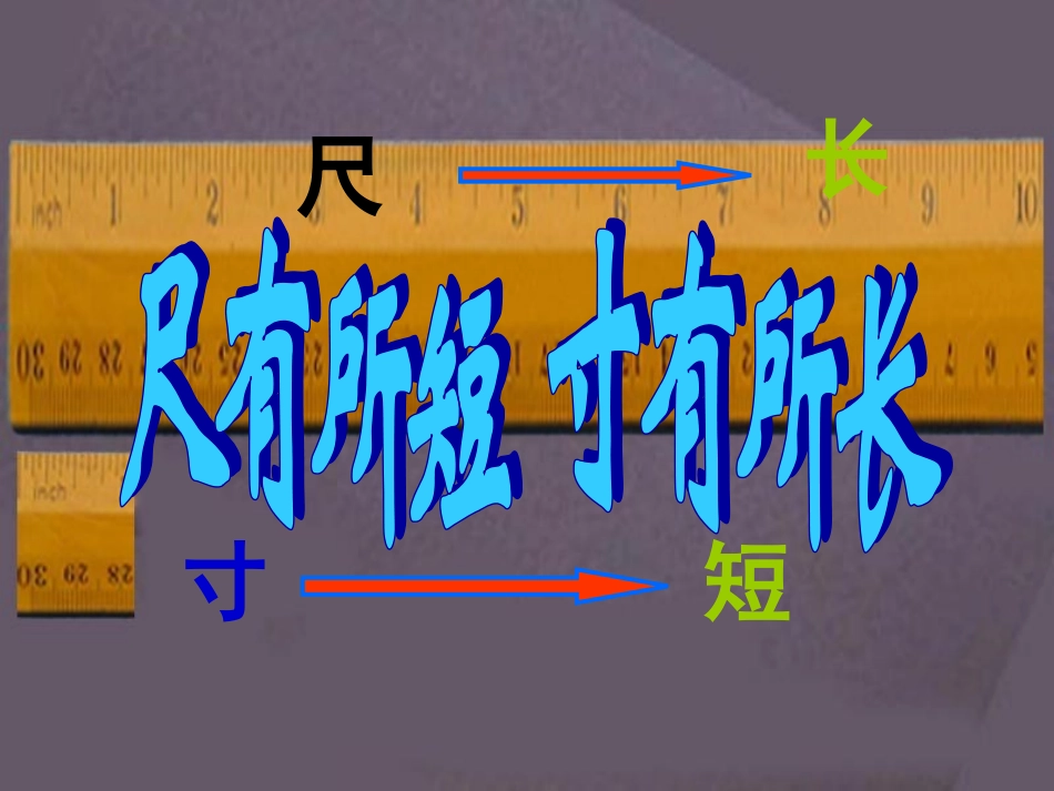 《尺有所短寸有所长》课件_第2页