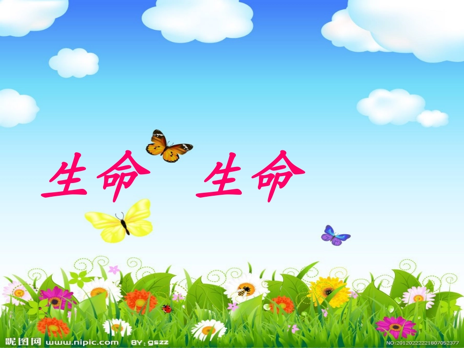 《生命生命》自制课件5_第1页